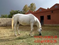 IMG_1279.jpg