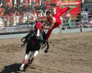 trickriding_onefootred.jpg