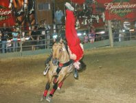trickriding_shoulderstand.jpg