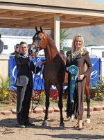 Marquee%20Scottsdale%202.jpg