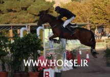 show-jumper3.jpg