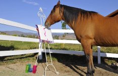 horse-artist_1010985i.jpg