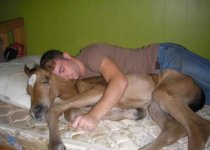 horse%20sleeping%20with%20dude.jpg