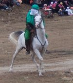 p3.JPG