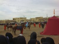 DSC00060.JPG