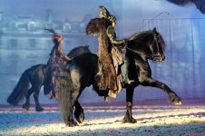 friesian.jpg