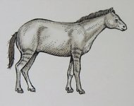 45032073.jpg