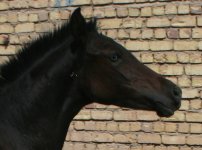 M-K.jpg