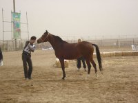 DSC00480.jpg