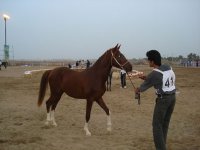 DSC100525.jpg