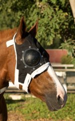 horse-eye-saver.jpg