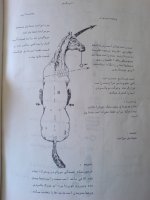 اثر.JPG