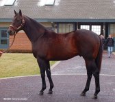 farms09-bernardini.jpg