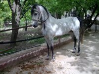 19072008360.jpg