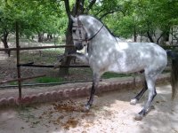 19072008363.jpg