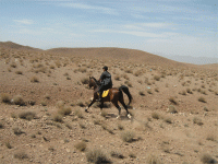 IMG_1147.gif