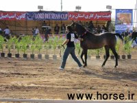 ف-روزه1.jpg
