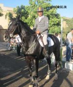 persian gulf horsejumping tornament (21).jpg