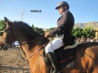 persian gulf horsejumping tornament (28).jpg