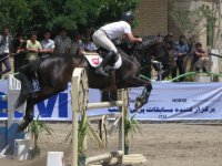 IMG_2327.jpg