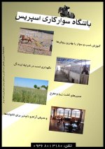 باشگاه سواركاري اسپريس 1.jpg