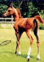 AffirmBaby2.jpg