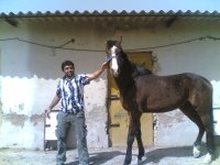 Shayan.jpg