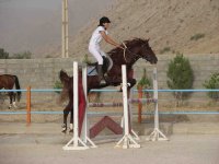 IMG_1909.jpg