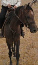 IMG_4486.jpg