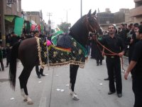 tohid (3)(fakeh & fahime).JPG