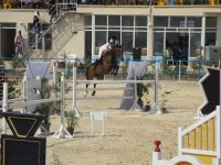 IMG_2851.jpg