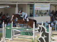 IMG_2857.jpg
