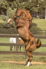 69.jpg