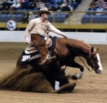 reining02.jpg