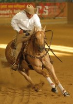 قثهدهدل.jpg
