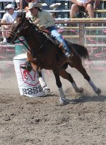 437px-Barrel_racing.jpg