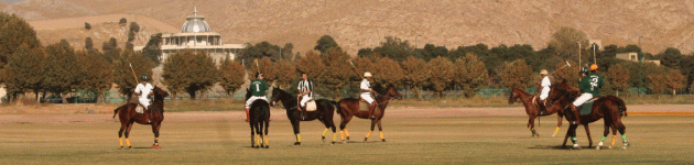 polo4.gif