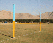 polo20.gif