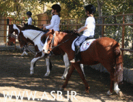 horsekids7.gif