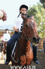 horsekids10.gif
