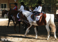 horsekids12.gif