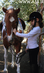 horsekids14.gif