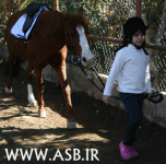 horsekids17.gif