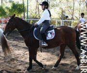 horsekids38.gif