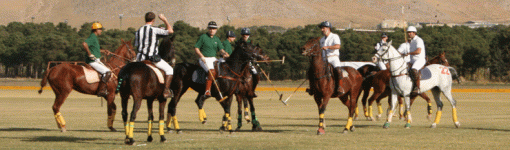 polo27.gif