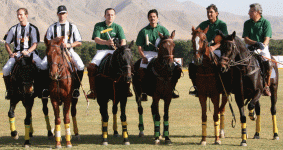 polo29.gif