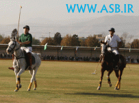 polo32.gif
