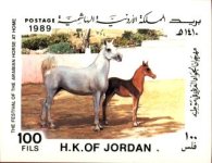 horse1a.jpg