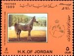 horse5.jpg