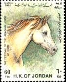 horse60.jpg